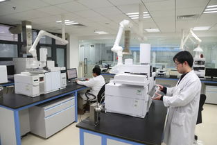 科技引領，服務賦能 以創新技術打響“上海制造”品牌，驅動集團高質量發展